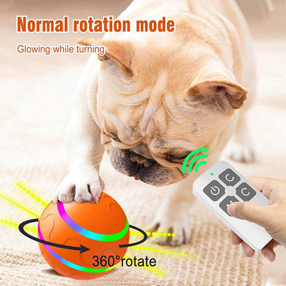 Interactive pet ball toy for cats and dogs