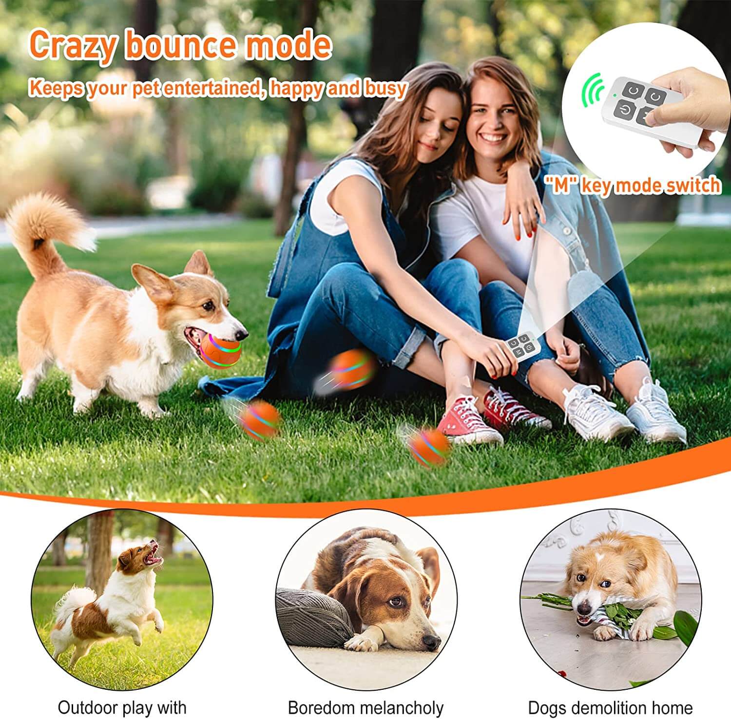 USB rechargeable ball toy for playful cats and dogs
